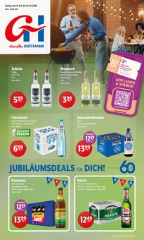 Wasser im Getränke Hoffmann Prospekt "Aktuelle Angebote" mit 10 Seiten (Cottbus)