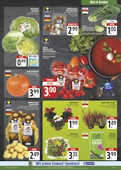 Pflanzen im EDEKA Prospekt in Weiden Aktueller EDEKA Prospekt mit Pflanzen, "Wir lieben Lebensmittel!", Seite 11