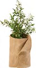 Aktuelle Gartenhaus Angebote bei Lidl in Bonn Aktuelles Frostschutzmatte Angebot bei Lidl in Bonn ab 7,99 €