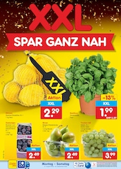 Ähnliche Picknickdecke Angebote im Prospekt "Aktuelle Angebote" von Netto Marken-Discount in Plauen Ähnliche Angebote wie Picknickdecke im Prospekt "Aktuelle Angebote" auf Seite 12 von Netto Marken-Discount in Plauen