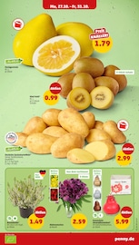 Kartoffeln im Penny Prospekt in Voerde Aktueller Penny Prospekt mit Kartoffeln, "Wer günstig will, muss Penny.", Seite 5