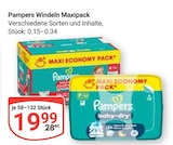 Aktuelle Pampers Angebote bei GLOBUS in Braunschweig Aktuelles Windeln Maxipack Angebot bei GLOBUS in Braunschweig ab 19,99 €