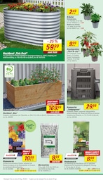 Steine Angebot im aktuellen toom Baumarkt Prospekt auf Seite 6