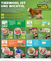 Aktueller Kaufland Prospekt mit Hackfleisch, "KNÜLLER", Seite 22