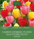 Darwin Hybride Tulpen Prachtmischung im Angebot bei Pflanzen Kölle in Bietigheim-Bissingen Darwin Hybride Tulpen Prachtmischung Angebote bei Pflanzen Kölle Bietigheim-Bissingen für 9,99 €