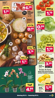 Rindfleisch im Netto mit dem Scottie Prospekt "Günstig. Besser. Für Dich." mit 37 Seiten (Halle (Saale))