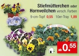 Stiefmütterchen oder Hornveilchen Angebote bei Zimmermann Peine für 0,55 €