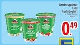 Aktuelles Frucht-Joghurt Erdbeere Angebot bei EDEKA in Ingolstadt ab 0,49 €