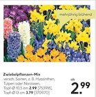 Aktuelles Zwiebelpflanzen-Mix Angebot bei BayWa Bau- und Gartenmärkte in Ulm ab 2,99 €