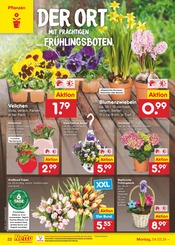 Aktueller Netto Marken-Discount Prospekt mit Garten, "Aktuelle Angebote", Seite 22