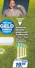 Aufsteckbürsten HX6014/87 ProResults bei expert im Plettenberg Prospekt für 19,99 €