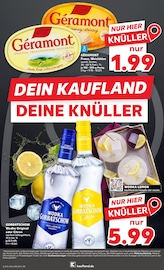 Vodka im Kaufland Prospekt in Haltern am See Aktueller Kaufland Prospekt mit Vodka, "KNÜLLER", Seite 20