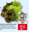 Herzstücke Blattsalat-Mix im Angebot bei Marktkauf in Reutlingen Herzstücke Blattsalat-Mix Angebote von EDEKA bei Marktkauf Reutlingen für 1,11 €