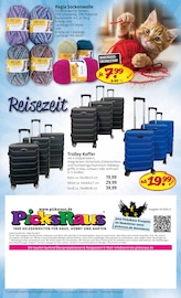 Aktueller Picks-Raus Prospekt mit Trolley, "1000 GELEGENHEITEN FÜR HAUS, HOBBY UND GARTEN", Seite 8