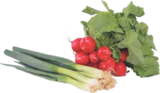 Radieschen von  im aktuellen V-Markt Prospekt für 0,49 €