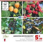 Arbustes petits fruits dans le catalogue Hyper U