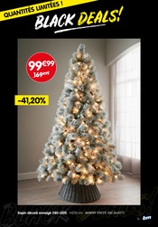 Sapin Noël Angebote im Prospekt "BLACK DEALS!" von B&M auf Seite 13