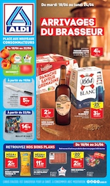 Catalogue Discount Alimentaire Aldi en cours à Bessines et alentours, "ARRIVAGES DU BRASSEUR", 31 pages, 18/06/2024 - 24/06/2024