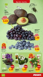 Ähnliche Regentonne Angebote im Prospekt "Wer günstig will, muss Penny." von Penny in Pirna Ähnliche Angebote wie Regentonne im Prospekt "Wer günstig will, muss Penny." auf Seite 5 von Penny in Pirna