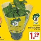 Aktuelles BIO-BASILIKUM Angebot bei Marktkauf in Bochum ab 1,29 €