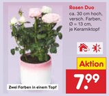 Rosen Duo von  im aktuellen Netto Marken-Discount Prospekt für 7,99 €