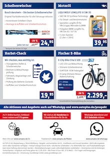 Fisch im aktuellen AUTOPLUS Prospekt (Braunschweig) Fisch im AUTOPLUS Prospekt "Vor-Saison-Aktion" mit 6 Seiten (Braunschweig)
