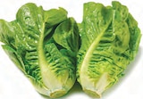 Netto mit dem Scottie Luckenwalde - Mini Romana Angebot im Prospekt Mini Romana bei Netto mit dem Scottie im Luckenwalde Prospekt für 0,89 €