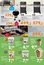 Aktueller Globus-Baumarkt Prospekt mit Garten, "Immer eine Idee besser", Seite 6