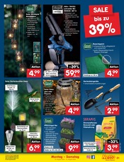 Löwenzahn im Netto Marken-Discount Prospekt in Potsdam Aktueller Netto Marken-Discount Prospekt mit Löwenzahn, "Aktuelle Angebote", Seite 45