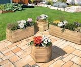 Aktuelle Blumentopf Angebote bei Hagebaumarkt in Mainz Aktuelles Blumenkasten Toscana Angebot bei Hagebaumarkt in Mainz ab 49,99 €