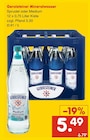 Mineralwasser von Gerolsteiner im aktuellen Netto Marken-Discount Prospekt