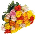 Rosen Angebote bei REWE Schwerte für 3,79 €