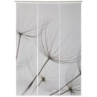 FLÄCHENVORHANG 3 Stück transparent 60/245 cm im Angebot bei XXXLutz in Kaufbeuren FLÄCHENVORHANG 3 Stück transparent 60/245 cm Angebote von Novel bei XXXLutz Kaufbeuren für 49,99 €