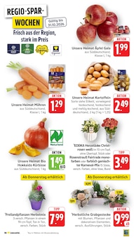 Äpfel im aktuellen EDEKA Prospekt (Karlsruhe) Äpfel im EDEKA Prospekt "Aktuelle Angebote" mit 57 Seiten (Karlsruhe)