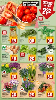 Blumen im REWE Prospekt "Dein Markt" mit 22 Seiten (Osnabrück)