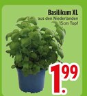 Basilikum XL im Angebot bei EDEKA in Kempten Basilikum XL Angebote bei EDEKA Kempten für 1,99 €