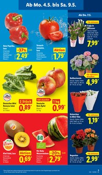 Blumen im Lidl Prospekt "LIDL LOHNT SICH" mit 69 Seiten (Augsburg)