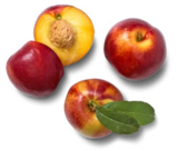 Aktuelles Nektarinen, lose Angebot bei Kaufland in Düsseldorf ab 3,99 €