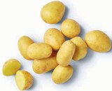 Kartoffellieblinge im Angebot bei Markant Nordwest in Bad Salzuflen Kartoffellieblinge Angebote von HofWerte bei Markant Nordwest Bad Salzuflen für 1,11 €