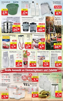 Wecker im Zimmermann Prospekt "Aktuelle Angebote" mit 10 Seiten (Magdeburg)