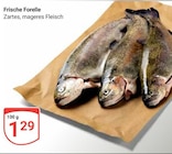 Frische Forelle im aktuellen GLOBUS Prospekt