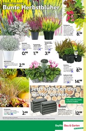 Aktueller BayWa Bau- und Gartenmärkte Prospekt mit Kamin, "Hier bin ich gern", Seite 24