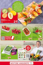 Melone Angebote im Prospekt "cash & carry" von Selgros Melone Angebote im Prospekt "cash & carry" von Selgros auf Seite 3