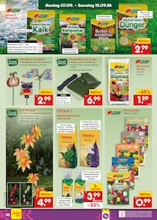 Deko im Netto Marken-Discount Prospekt in Ettlingen Aktueller Netto Marken-Discount Prospekt mit Deko, "Aktuelle Angebote", Seite 46