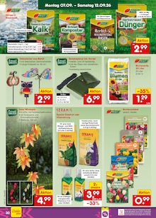 Blumenerde im Netto Marken-Discount Prospekt "Aktuelle Angebote" mit 71 Seiten (Karlsruhe)
