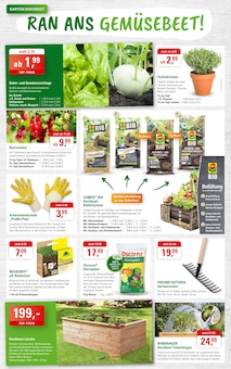 Pflanzen im ZG Raiffeisen Prospekt "BLÜTENPRACHT LEICHT GEMACHT" mit 8 Seiten (Heidelberg)