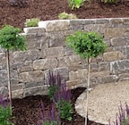 Raiffeisen Waren GmbH Eschwege - Altenburger Mauerstein Angebot im Prospekt Altenburger Mauerstein bei Raiffeisen Waren GmbH im Eschwege Prospekt für 599,00 €