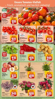 Hortensie im REWE Prospekt "Dein Markt" mit 22 Seiten (Siegen (Universitätsstadt))