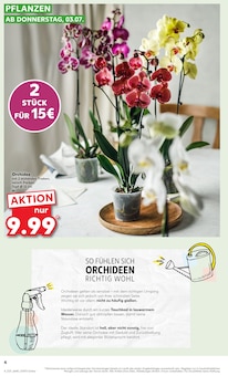 Pflanzen im aktuellen Kaufland Prospekt (Freiburg (Breisgau)) Pflanzen im Kaufland Prospekt "Aktuelle Angebote" mit 62 Seiten (Freiburg (Breisgau))
