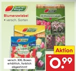 Blumenzwiebel Angebote von Garden Magic bei Netto Marken-Discount Jena für 0,99 €